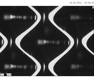 cell profile : end (700hrs)