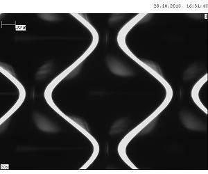 cell structure : start