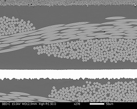 What a beautiful cross-section! ガラエポ